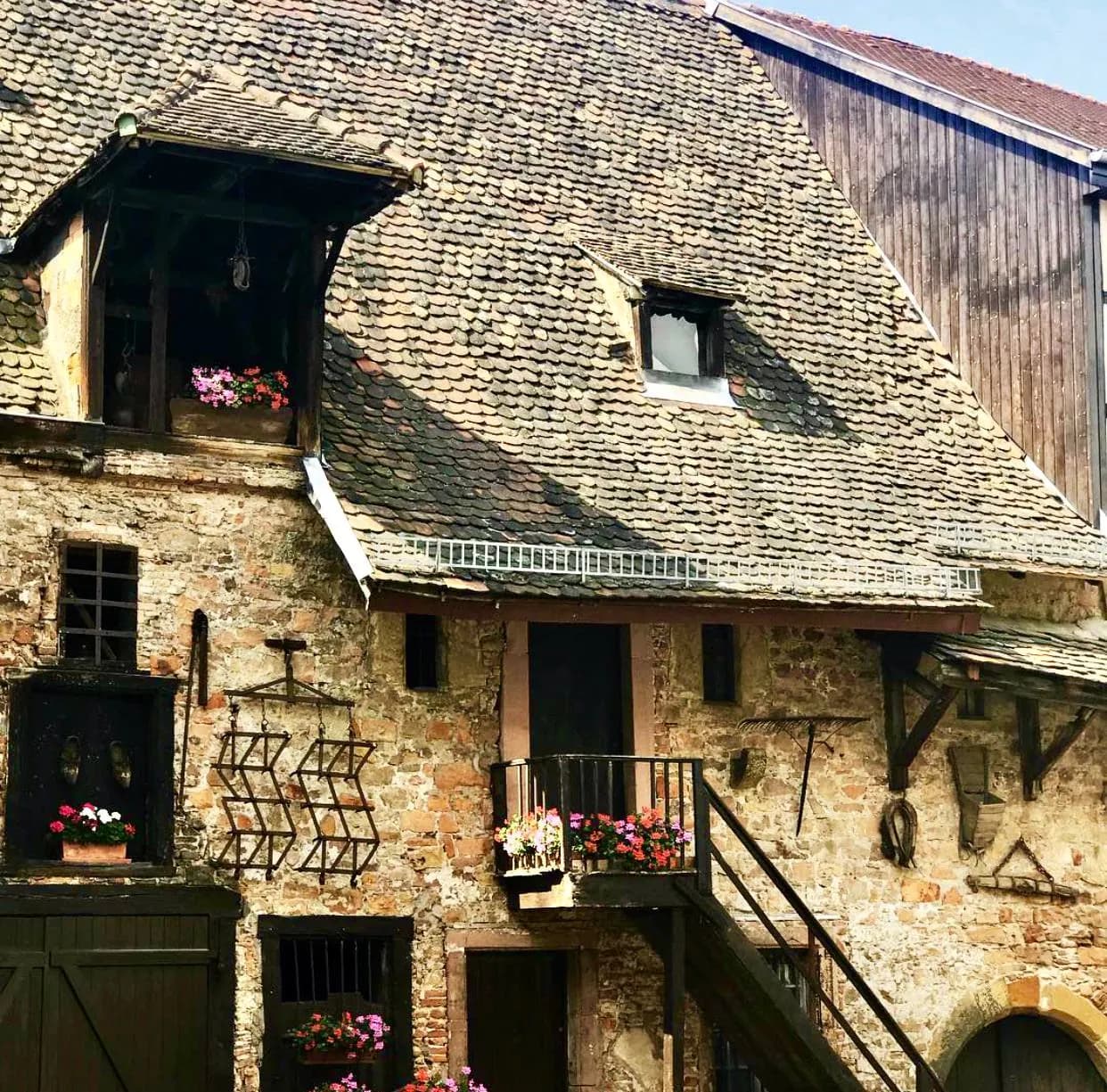 Mamma Giovanna à Colmar — photo 6